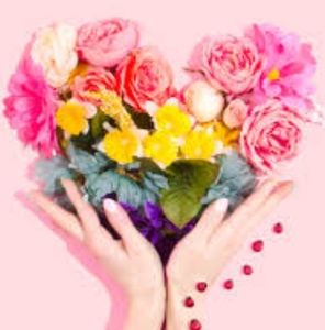 Meet your Posher, Afomia